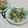 みかかめ's cooksnap of when they made 小松菜ともやしの花椒炒め.
