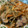 chikarin♡'s cooksnap of when they made ✤サバ缶ごぼうの生姜つくだ煮✤作り置きも.