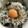 Ruriluru's cooksnap of when they made しらす丼.