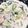 ♡greentea♡'s cooksnap of when they made チンゲン菜とベーコンのミルクスープ♪.