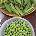 大魔女's cooksnap of when they made グリーンピースをサヤから取り出す方法.