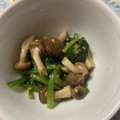 バウンド's cooksnap of when they made レンジで簡単♪ほうれん草しめじの胡麻和え.