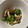 バウンド's cooksnap of when they made レンジで簡単♪ほうれん草しめじの胡麻和え.