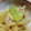 ＪＵＮちゃン's cooksnap of when they made ふきと油揚げの煮物.