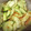 なかゆきみん's cooksnap of when they made こくうま！！かりもりの漬物.