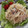 脩ﾏﾏ's cooksnap of when they made 鮭フレークと大根のサラダ.