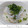 ちょこ☆ちょこ's cooksnap of when they made しらすとネギの混ぜご飯.