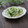 まろんかふぇ's cooksnap of when they made 【無塩】新玉ねぎと三つ葉のマリネ.