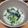 Rinko6's cooksnap of when they made 干し貝柱の中華粥風.