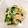 ゆーのすけ23's cooksnap of when they made ほうれん草とえのきの胡麻マヨ和え.