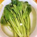 ゆいmaru3's cooksnap of when they made 小松菜の保存法.