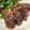 クックM6DK2O☆'s cooksnap of when they made 簡単焼くだけ♪ピリ辛☆マグロステーキ.