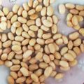 こうちえ's cooksnap of when they made 鍋で簡単☆蒸し大豆.
