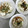 Ruriluru's cooksnap of when they made わさびと青のりで冷ややっこ.