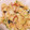 こずっぺ's cooksnap of when they made 卵とネギの簡単チャーハン.