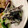 MULA's cooksnap of when they made ☆きゅうりとひじきのツナマヨサラダ☆.