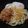 ＲＥＴＳＵＡ．Ｔ's cooksnap of when they made 釜玉うどん風(冷).