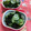 赤い電話's cooksnap of when they made きゅうりとわかめの酢の物.