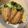 ピーナッツ子♪'s cooksnap of when they made 揚げないで作るよ！イワシのフライ.