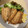 ピーナッツ子♪'s cooksnap of when they made 揚げないで作るよ！イワシのフライ.