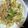 クックH86AFM☆'s cooksnap of when they made 5分野菜炒め.