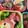 mrmr2000's cooksnap of when they made ＊キャラ弁＊マイメロディ＊マイメロⅡ＊.