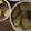 クックKGAPOA☆'s cooksnap of when they made 秋田ふきの豚挽き肉と玉ねぎ詰め.
