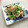 FGO☆'s cooksnap of when they made ちくわとスナップエンドウの一味マヨ和え♪.