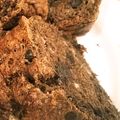 優晴花のママ's cooksnap of when they made 外サク！中しっとり☆チョコバナナケーキ♪.