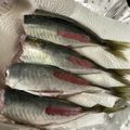 youshizu's cooksnap of when they made フライパンで作る☆アジの塩焼き.