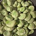 ちゃぎー's cooksnap of when they made そら豆の茹で方。.