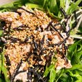 ☆さくらの献立's cooksnap of when they made 《水菜》鉄分強化サラダ.