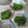 i_yokan's cooksnap of when they made 定番★青野菜の胡麻和え★お弁当にも.