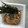 Ruriluru's cooksnap of when they made 柚子こしょう＆納豆.
