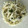 Ruriluru's cooksnap of when they made 簡単！もやしと、ワカメスープであと1品.