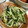 リラシャン's cooksnap of when they made もやしときゅうりのナムル.