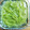 青森在住's cooksnap of when they made アキタフキのあく抜き.