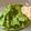 MMMiffy12's cooksnap of when they made 枝豆ディップ.