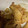 ようさんママ's cooksnap of when they made たけのことエリンギのバターしょうゆ炒め.