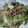べるり's cooksnap of when they made ひき肉と夏野菜炒め.