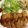 ☆初心者のねこ☆'s cooksnap of when they made 安い肉でも感激☆　柔らかトンカツ.