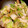 1035's cooksnap of when they made 中華　白菜のお酢炒め.