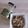 アクセル☆'s cooksnap of when they made ❀白菜と姜葱醤の塩昆布和え❀.