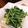 こずっぺ's cooksnap of when they made 即席！水菜のごまあえ。.