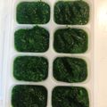 おもちまるとシャルル's cooksnap of when they made 離乳食初期　ブレンダーでほうれん草.