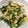 M♡KITCHIN's cooksnap of when they made 葉玉ねぎの豚玉炒め.