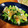 低カロ探検隊's cooksnap of when they made スナップエンドウと卵のごまマヨサラダ.