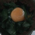 葉月優希's cooksnap of when they made 流行りのニラ玉！ニラのお浸し卵のせ.