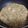papikun's cooksnap of when they made 台所で立ち食いもんじゃ.