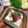 ☆あさ's cooksnap of when they made 超簡単❤梅練りと大葉の冷奴(*^^)v.